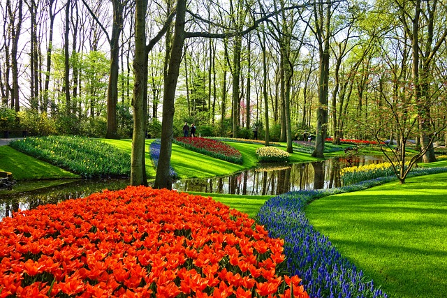 Keukenhof